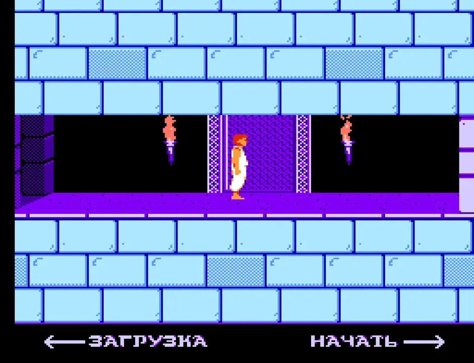 Prince of Persia — NES / Dendy / Famicom